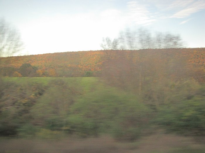 IMG_8310