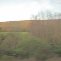 IMG_8310