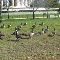 IMG_8425